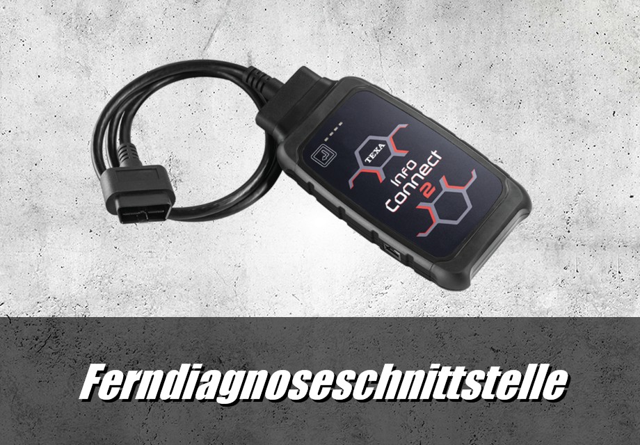 Ferndiagnoseschnittstelle
